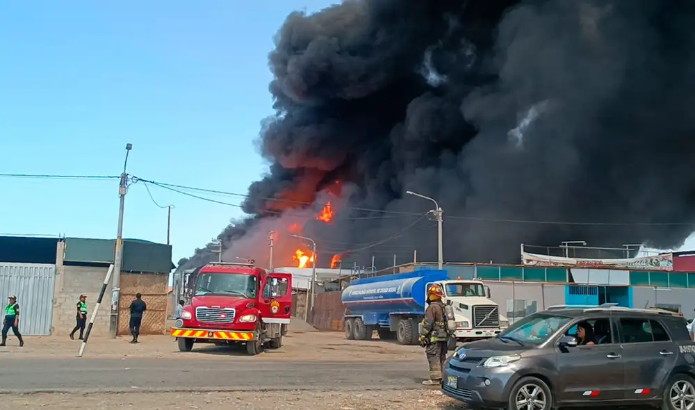 Incendio registrado en planta de olivo dejó daños materiales