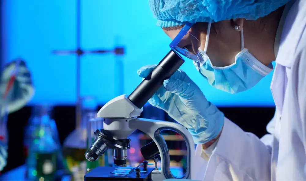 El estudio también resalta diferencias en el envejecimiento entre machos y hembras, con variaciones en la respuesta inmunológica.