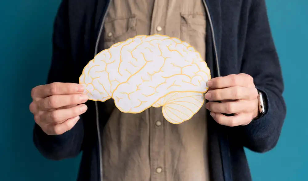 El hallazgo detalla cómo cambios en la microbiota del intestino activan células inmunitarias, afectando la conexión entre el intestino y el cerebro a través del nervio vago.