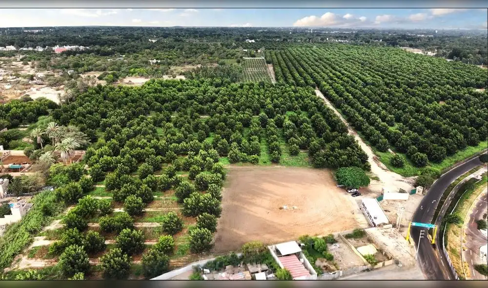 Autoridades de Ica advierten estafas por parte de traficantes de terrenos. Foto: Difusión.