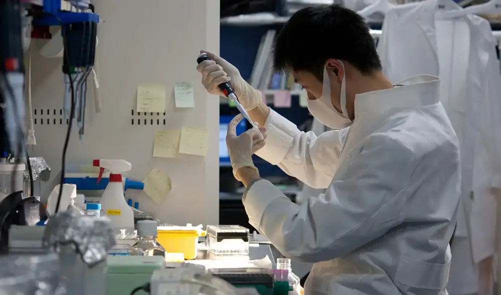 Células humanas modificadas en laboratorio comienzan a utilizarse para tratar enfermedades graves.