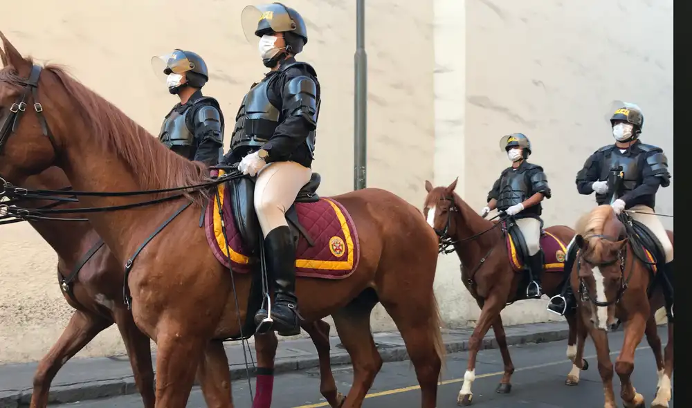 Poder Judicial prohíbe a la Policía Nacional usar caballos para reprimir protestas