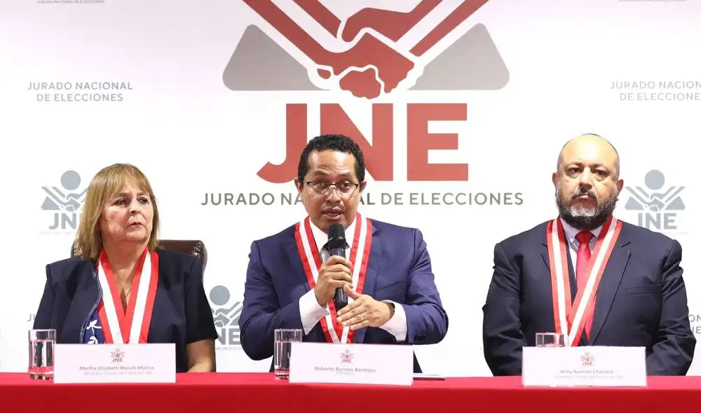 El Jurado Nacional de Elecciones implementó el artículo 20 de la Ley N°26859, Ley Orgánica de Elecciones.
