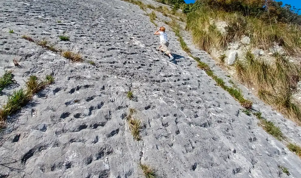 En una pared rocosa de Italia unas estrías que podrían ser evidencia de la huída de tortugas marinas. Foto: Paolo Sandroni