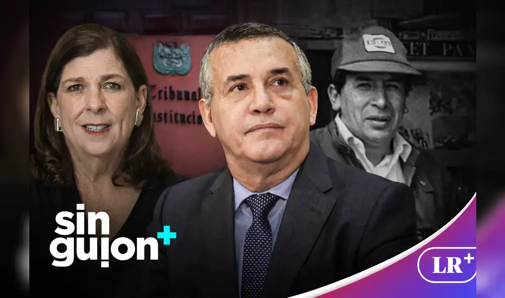 Palacios cuestionó que tengamos un TC "violador de tratados". Foto: composición LR