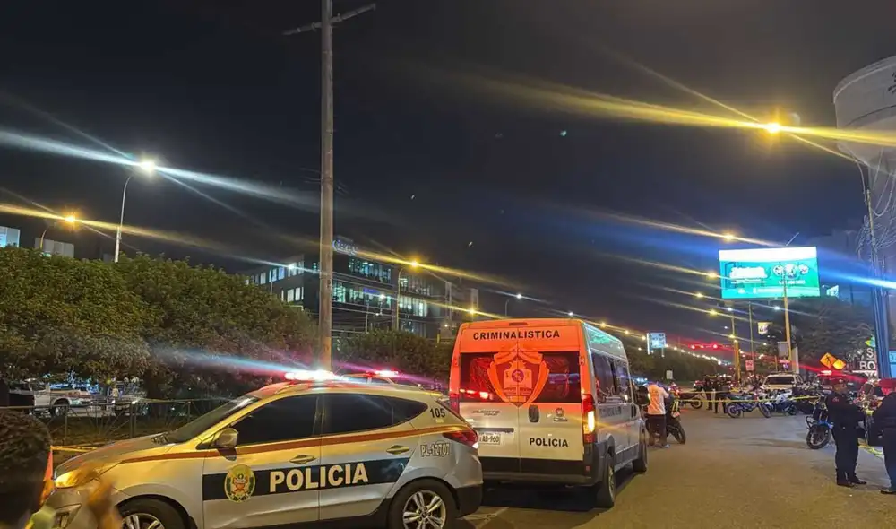 Seguridad de empresario abatió al delincuente