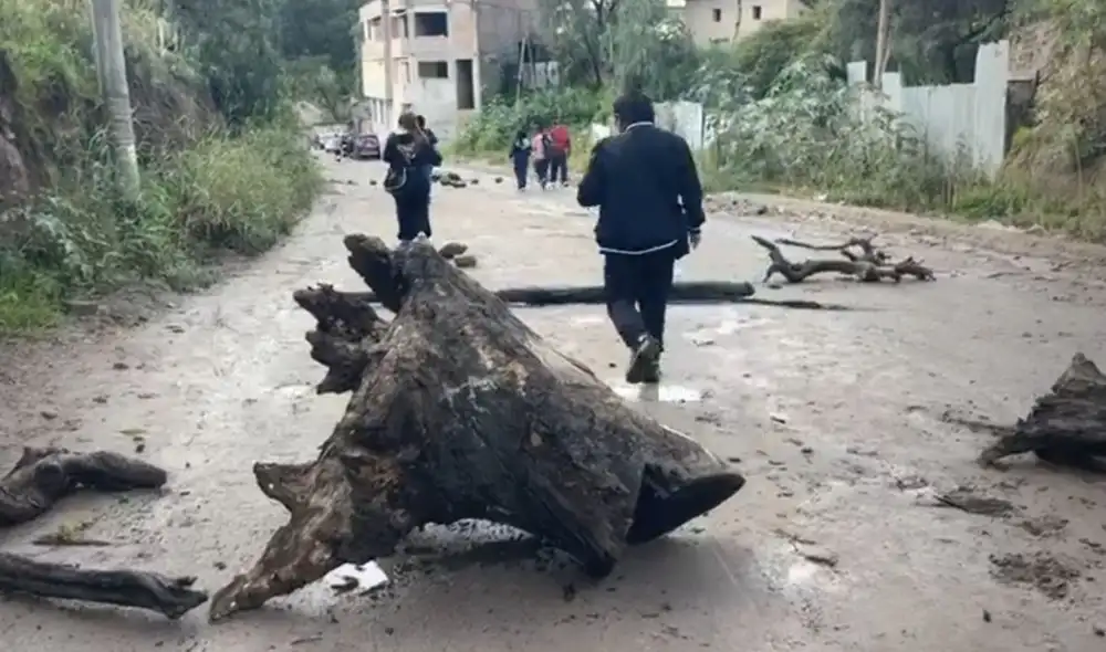 El Colegio de Ingenieros del Perú respaldó la protesta y pidió la intervención de la Contraloría por la situación de la carretera.