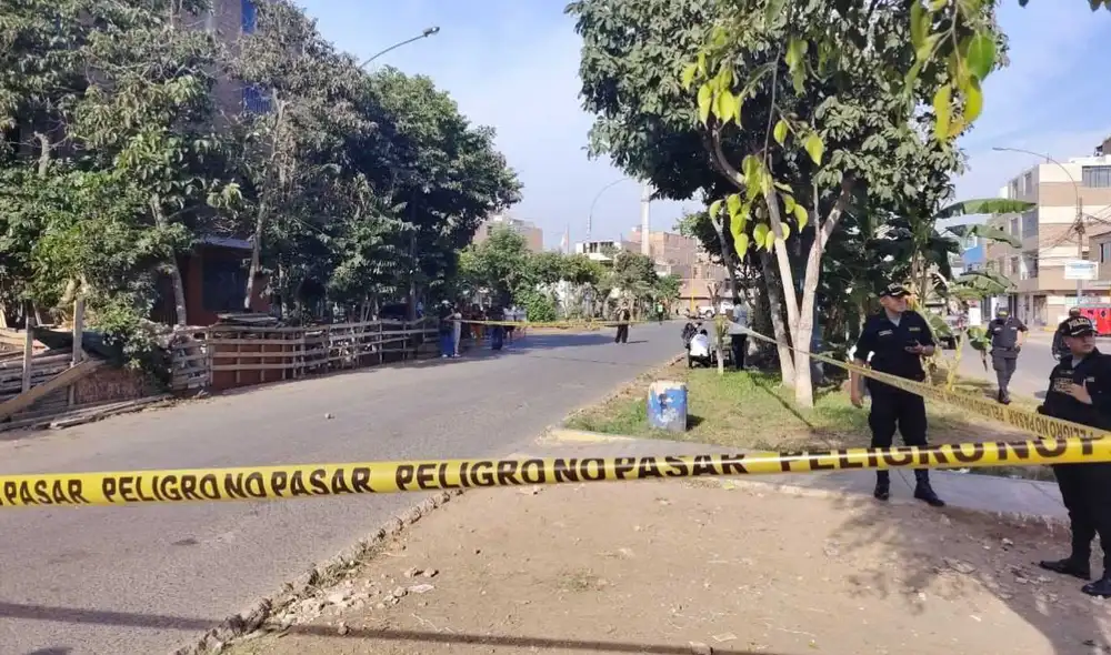 Mujer fue atacada mientras pasaeaba a su mascota Mujer fue atacada mientras pasaeaba a su mascota