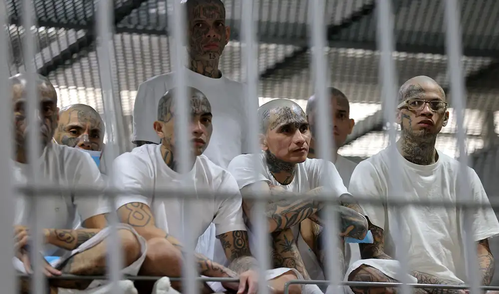 Reclusos en una celda del Centro de Confinamiento Antiterrorista (CECOT) en El Salvador. Foto: AFP Reclusos en una celda del Centro de Confinamiento Antiterrorista (CECOT) en El Salvador. Foto: AFP