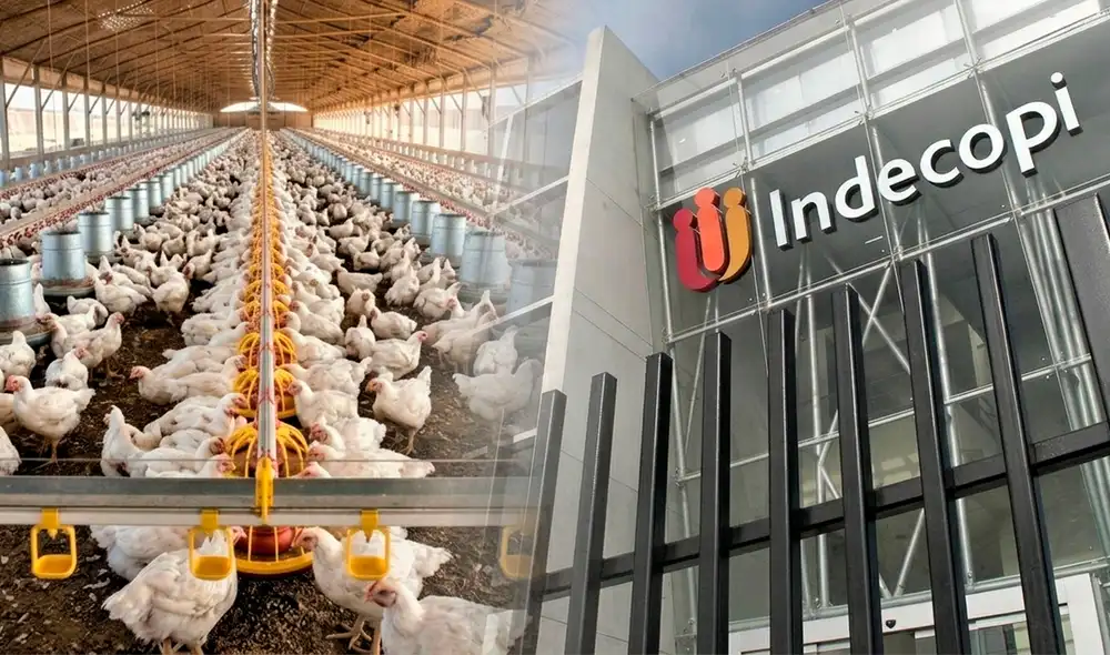 Cinco empresas habrían concertado precios en el norte del Perú, de acuerdo al Indecopi. Foto: Composición LR. Cinco empresas habrían concertado precios en el norte del Perú, de acuerdo al Indecopi. Foto: Composición LR.