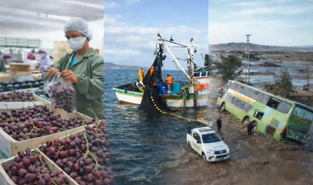 Los riesgos están enfocados en impactos en la captura de anchoveta, la calidad de cultivos y la navegación fluvial, lo que podría complicar el panorama para empresas y productores.