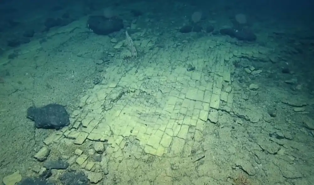 Un "camino de baldosas amarillas" en las profundidades marinas filmado en el oceáno Pacífico. Foto: The Ocean Exploration Trust / EV Nautilus/ YouTube