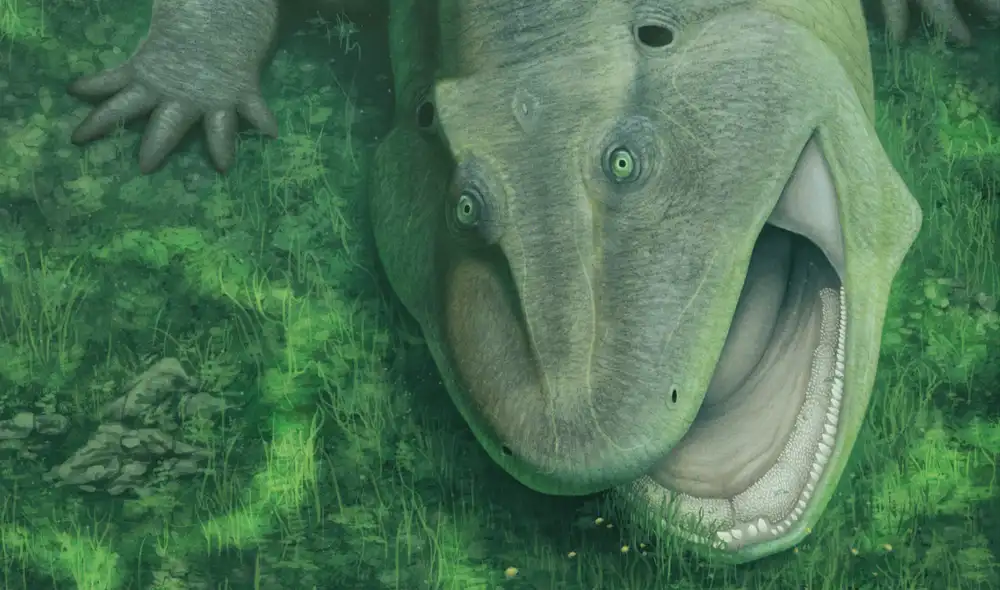 Ilustración artística que muestra cómo podría haber sido la especie recientemente descrita, Tanyka amnicola . Foto: Vitor Silva