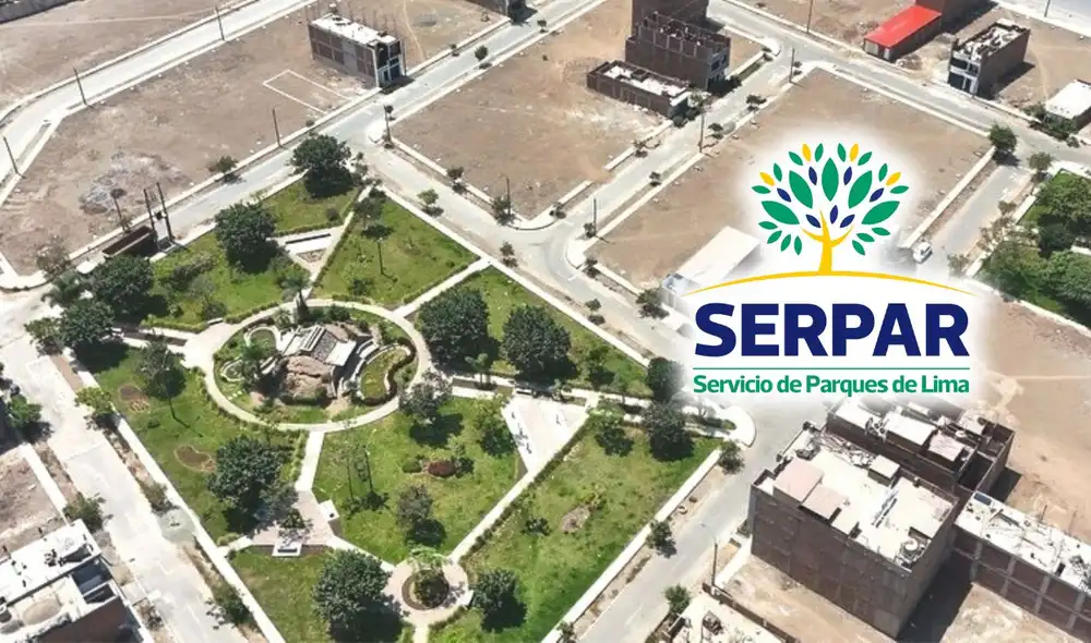 Los interesados deben adquirir las bases del proceso por S/50 y presentar un depósito de garantía del 5% del lote elegido.