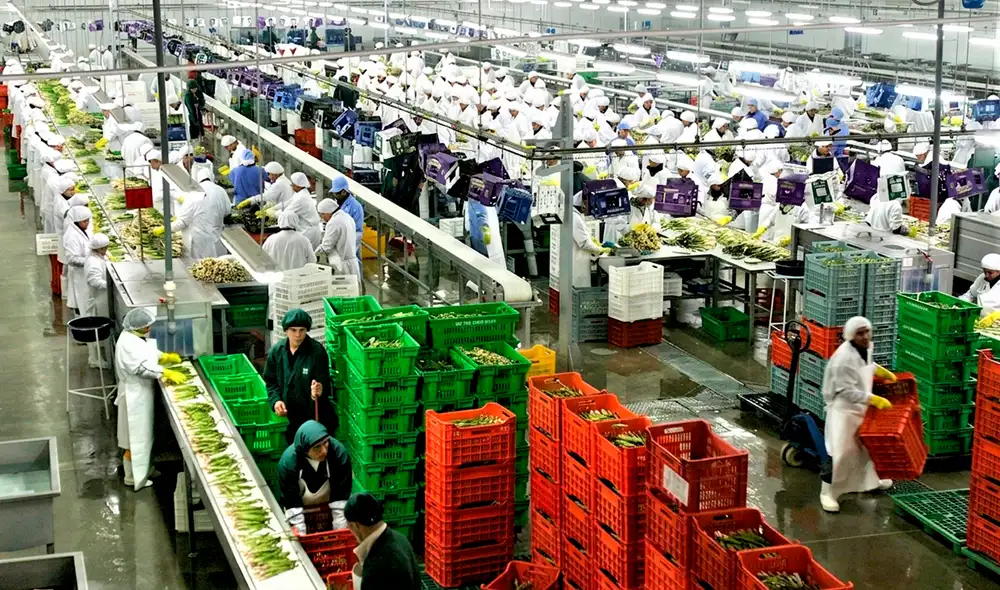 El resultado favorable de Perú fue impulsado por el mayor dinamismo de envíos agropecuarios. Foto: Composición LR.