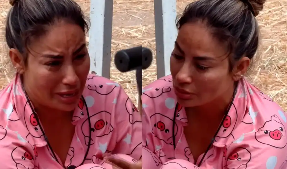 La discusión se centró en la percepción de Pamela López de que las integrantes de ‘Las víboras’ buscan aprovecharse de Paul Michael. Foto: captura/Panamericana TV