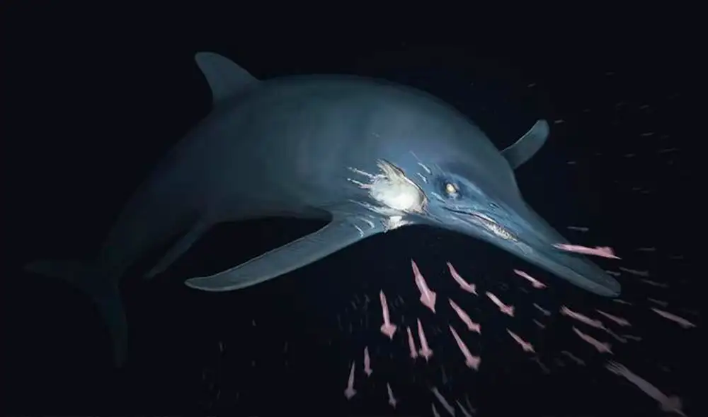 Temnodontosaurio cf. Reconstrucción de trigonodon.  Foto: Joschua Knüppe