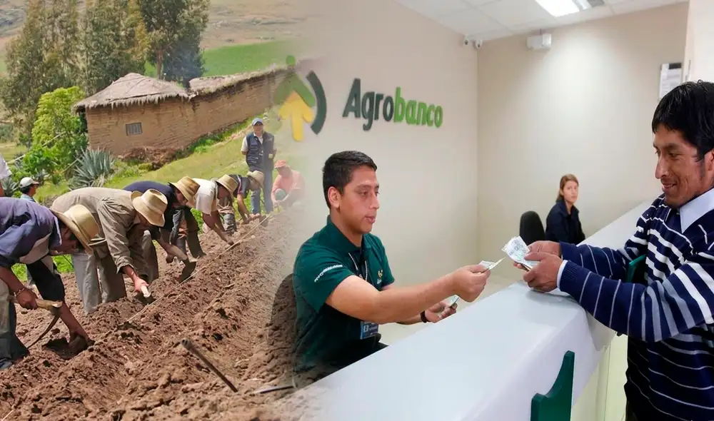 Puno, Cajamarca y Amazonas lideran la colocación de créditos agropecuarios del Fondo Agroperú. Puno, Cajamarca y Amazonas lideran la colocación de créditos agropecuarios del Fondo Agroperú.