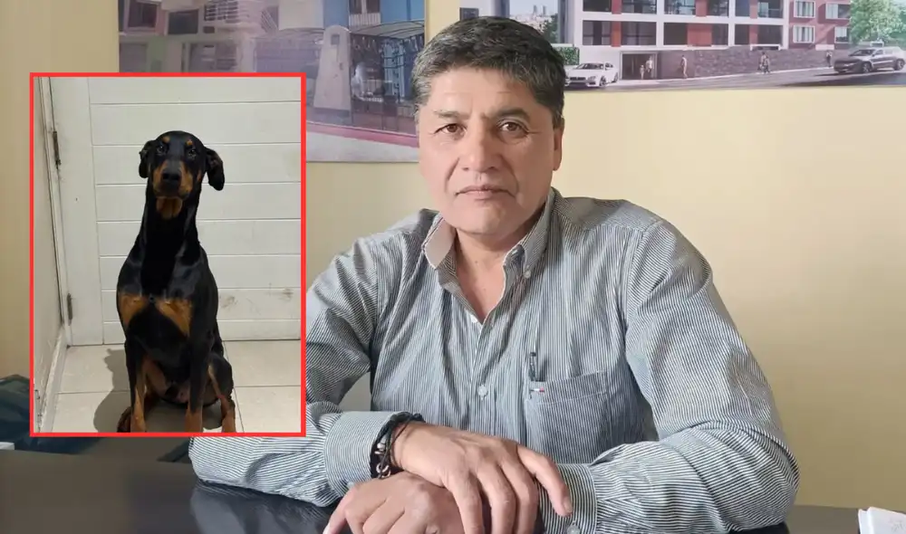 JNE vaca a alcalde de Arequipa por disponer que personal municipal cuide a su mascota "Flechita"