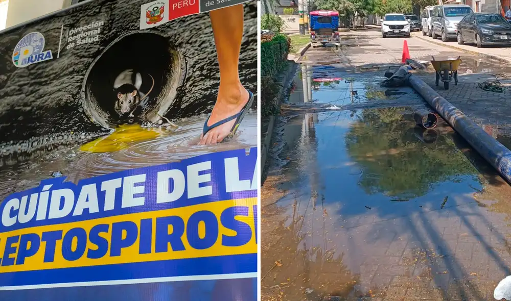 El aumento de casos por dengue y leptospirosis propició una respuesta de las autoridades sanitarias.