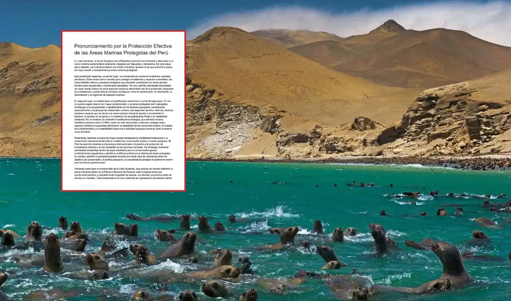 Científicos piden al Congreso aprobar ley que protege las Reservas Naturales marinas en el país. Foto: composición LR