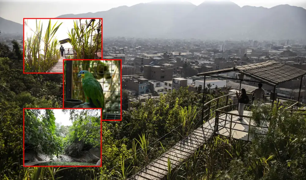 La Selva Escondida abre todos los días de 9:00 a.m. a 5:30 p.m. y el ingreso tiene un costo de S/6.