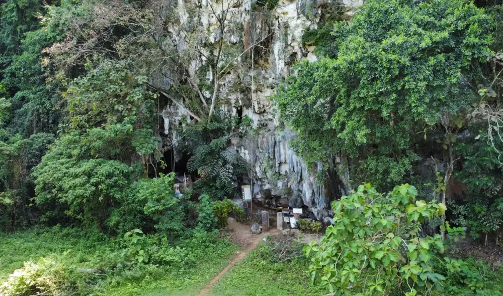 La entrada de Leang Bulu Bettue, la cueva en Sulawesi, Indonesia, donde diversas especies humanas han habitado durante decenas de miles de años. Foto: Universidad Griffith