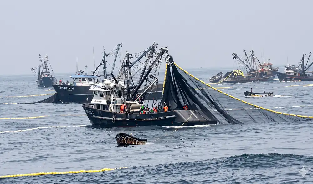 Embarcaciones industriales realizaron faenas de pesca dentro de la Reserva Nacional de Paracas, por lo que fueron sancionadas por Produce.