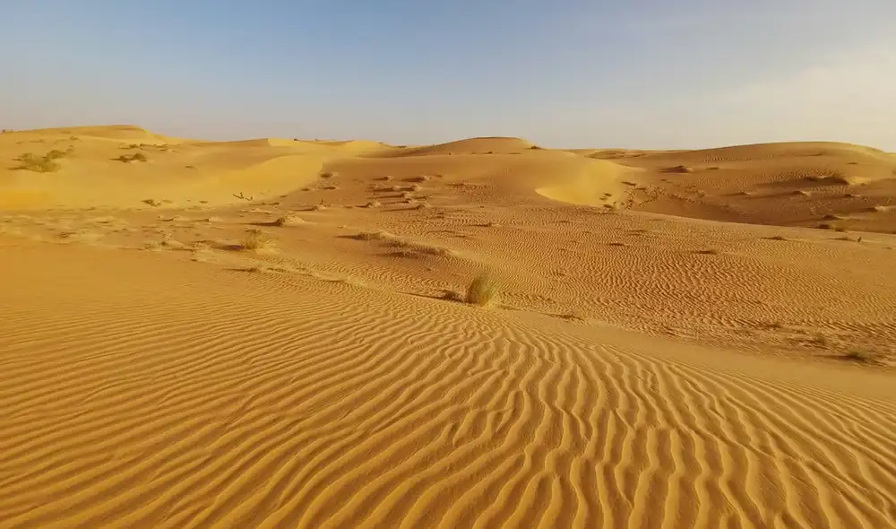 La Gran Muralla Verde se erige como el ambicioso proyecto ecológico que une a once países africanos para frenar la desertificación en el Sahel, con 8.000 km de barrera natural. La Gran Muralla Verde se erige como el ambicioso proyecto ecológico que une a once países africanos para frenar la desertificación en el Sahel, con 8.000 km de barrera natural.