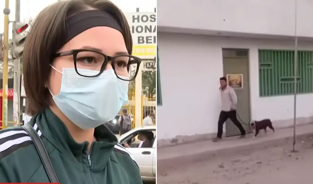El perro de raza pitbull ya registraba un ataque previo contra la misma víctima.