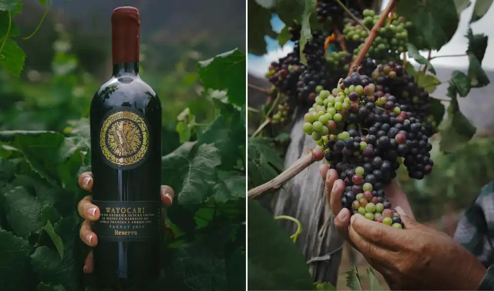 El vino Wayocari nació en el centro poblado de Huayoccari, en el Valle Sagrado de los Incas donde sus viñedos son cultivados a 2.940 m.s.n.m.
