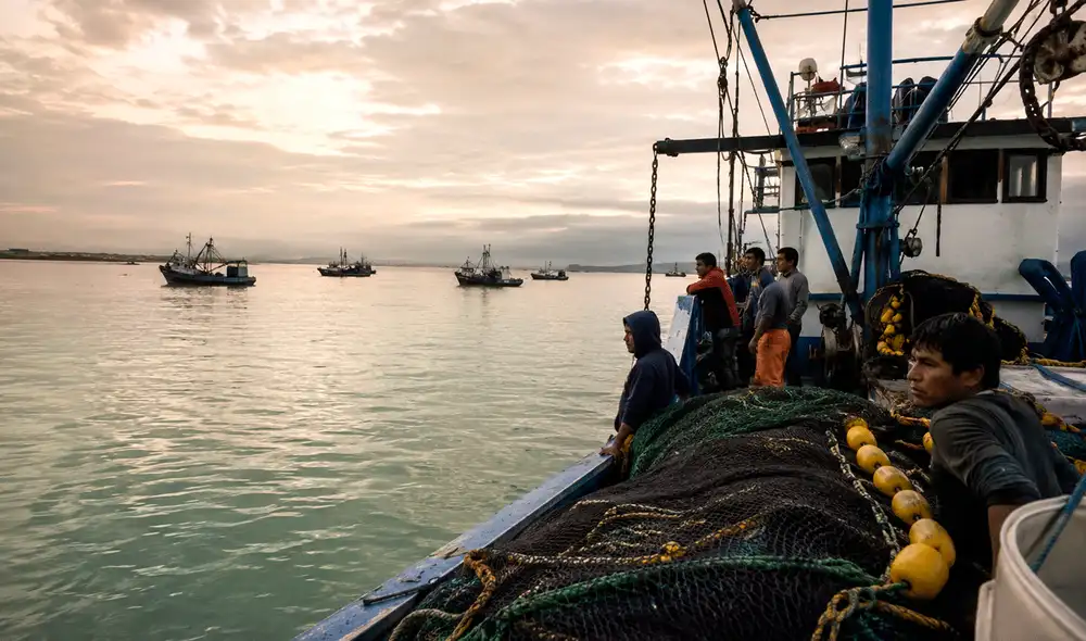 Gobierno extiende suspensión de pesca de anchoveta en litoral norte-centro ante condiciones ambientales adversas.