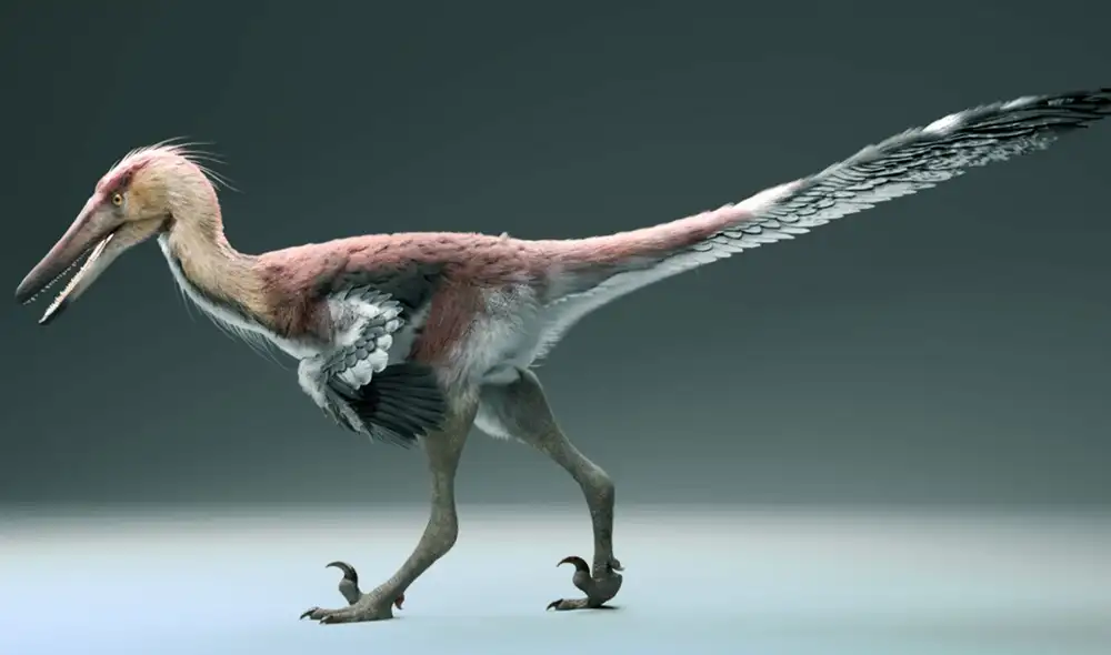 Reconstrucción de la vida de Kank australis. Foto: Gabriel Díaz Yantén