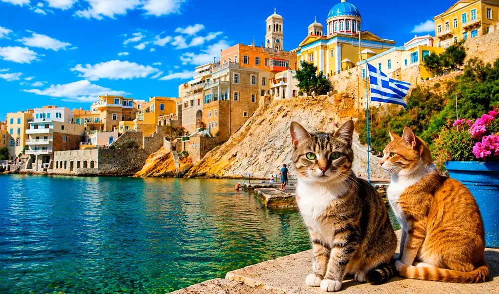 Syroscats, organizador del programa, requiere aspirantes a partir de 25 años, con pasión por los felinos, para trabajar cinco horas al día en el cuidado de colonias de gatos en Grecia. Syroscats, organizador del programa, requiere aspirantes a partir de 25 años, con pasión por los felinos, para trabajar cinco horas al día en el cuidado de colonias de gatos en Grecia.