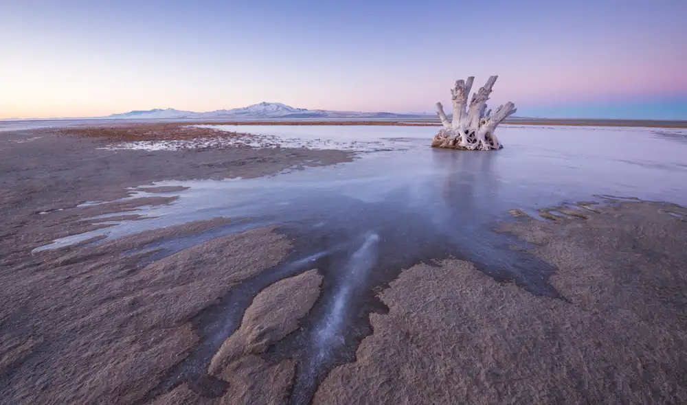 Un paisaje del Gran Lago Salado con niveles de agua bajos. El entorno extremo del lago alberga una comunidad de organismos pequeños pero resistentes. Foto: Shutterstock
