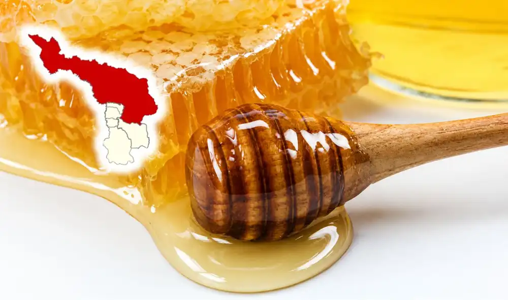 La iniciativa no solo salvaguarda el medio ambiente, sino que también beneficia a 204 productores locales de miel, favoreciendo la economía rural y el desarrollo sostenible de la provincia. La iniciativa no solo salvaguarda el medio ambiente, sino que también beneficia a 204 productores locales de miel, favoreciendo la economía rural y el desarrollo sostenible de la provincia.