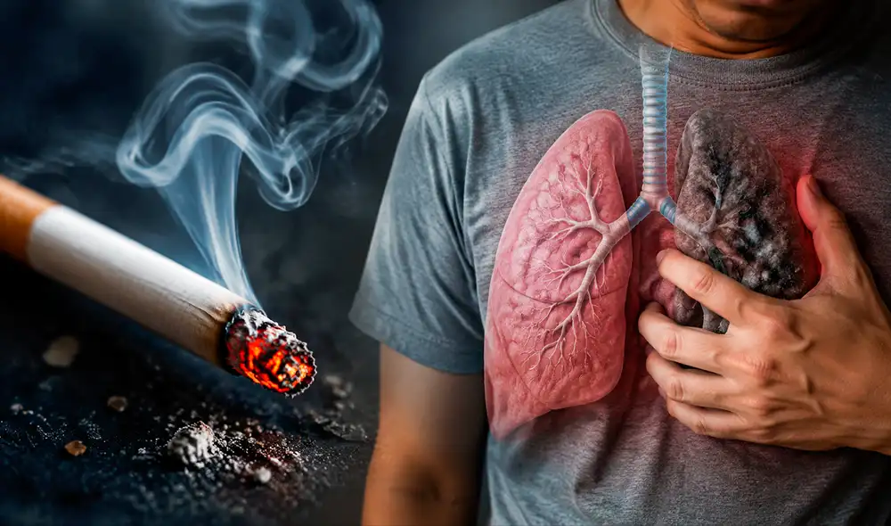 Científicos chilenos han identificado cómo la exposición al humo del tabaco daña los pulmones y el corazón, enfocándose en el receptor P2Y6.