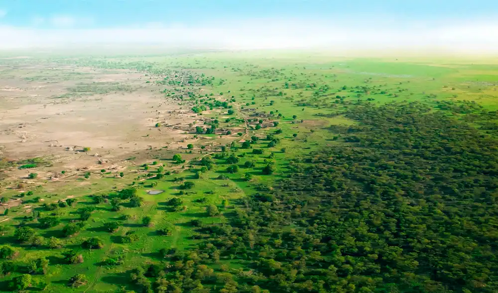 La Gran Muralla Verde utiliza un enfoque integrado para restaurar la diversidad de ecosistemas en el paisaje del norte de África. Foto: Great Green Wall Initiative La Gran Muralla Verde utiliza un enfoque integrado para restaurar la diversidad de ecosistemas en el paisaje del norte de África. Foto: Great Green Wall Initiative