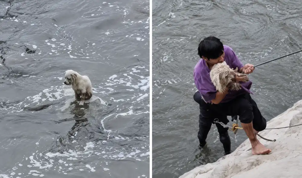 Joel salvó a perrito que cayó al río Rímac Joel salvó a perrito que cayó al río Rímac