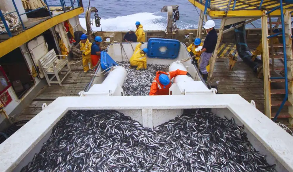 PRODUCE suspende la pesca de anchoveta en la zona Norte-Centro ante condiciones cálidas del mar. PRODUCE suspende la pesca de anchoveta en la zona Norte-Centro ante condiciones cálidas del mar.