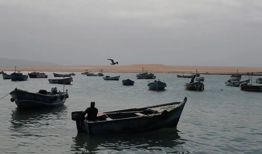 Embarcaciones artesanales en la bahía de Paracas. Pescadores de la zona sostienen que la incursión de la pesca industrial ha reducido la disponibilidad de recursos y encarecido sus jornadas de trabajo. Foto: Marco Cotrina / La R Embarcaciones artesanales en la bahía de Paracas. Pescadores de la zona sostienen que la incursión de la pesca industrial ha reducido la disponibilidad de recursos y encarecido sus jornadas de trabajo. Foto: Marco Cotrina / La R