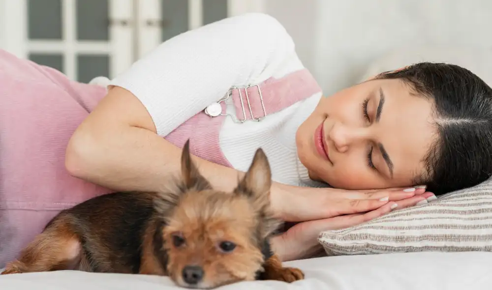 Compartir la cama con mascotas es una práctica común que se relaciona con beneficios emocionales, como la seguridad y el bienestar. Compartir la cama con mascotas es una práctica común que se relaciona con beneficios emocionales, como la seguridad y el bienestar.