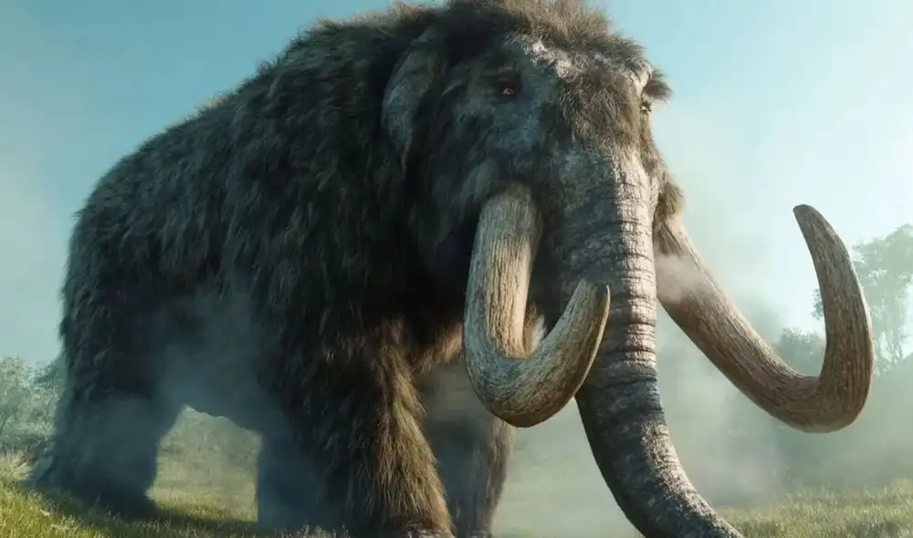 Un hallazgo paleontológico en Junín, Perú, recupera cráneos de mastodontes, revelando pistas sobre estos gigantes prehistóricos que habitaron Sudamérica.