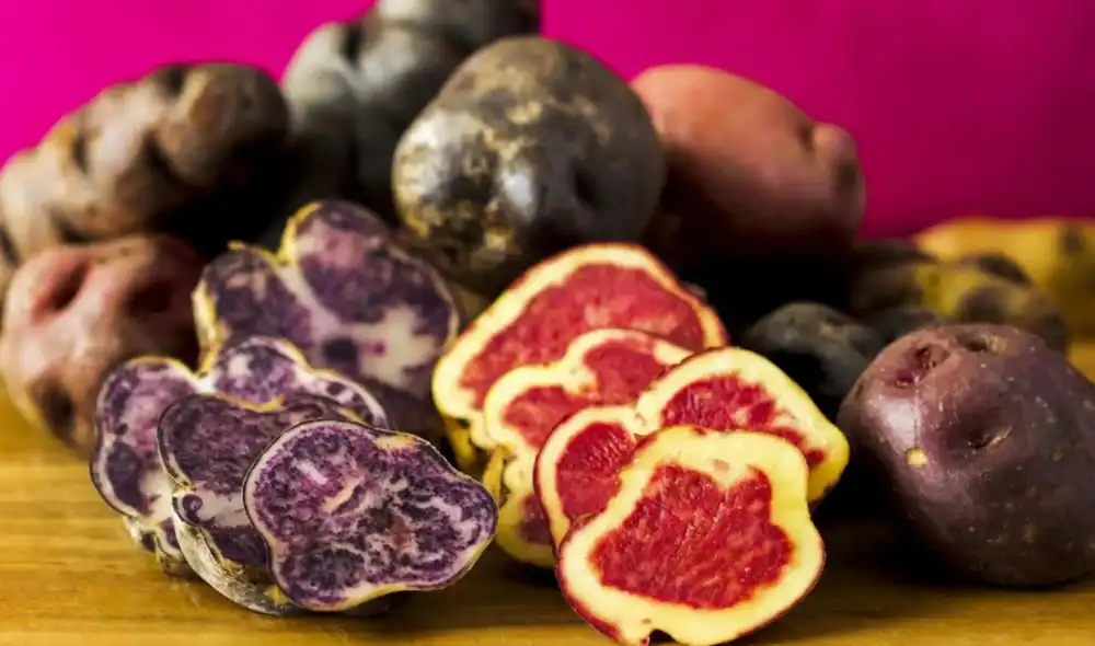 Papa peruana tendrá impulso para su transformación industrial tras aprobación de reglamento. Papa peruana tendrá impulso para su transformación industrial tras aprobación de reglamento.