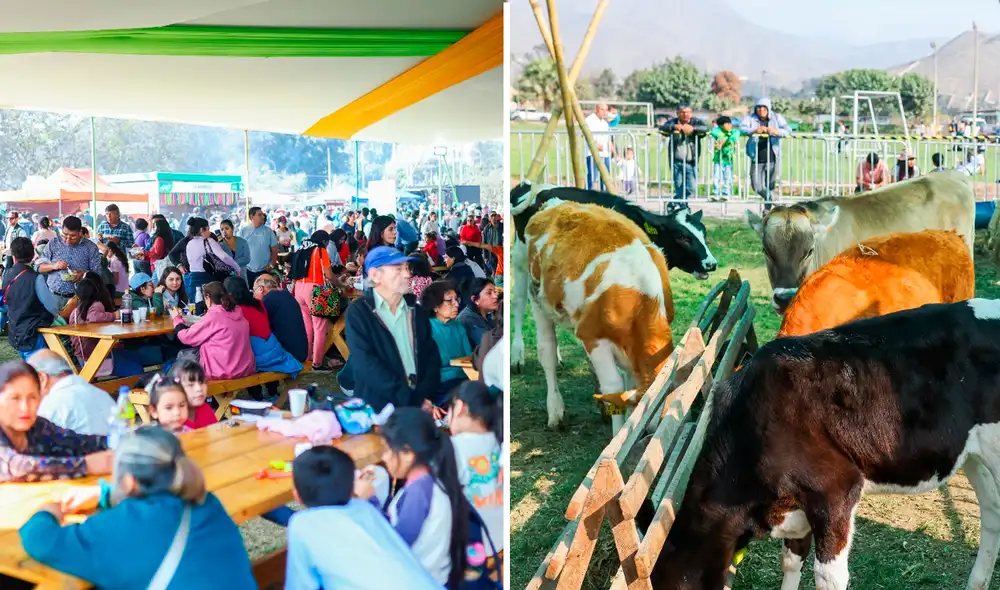 El evento reunirá a productores de más de 20 regiones en Lima