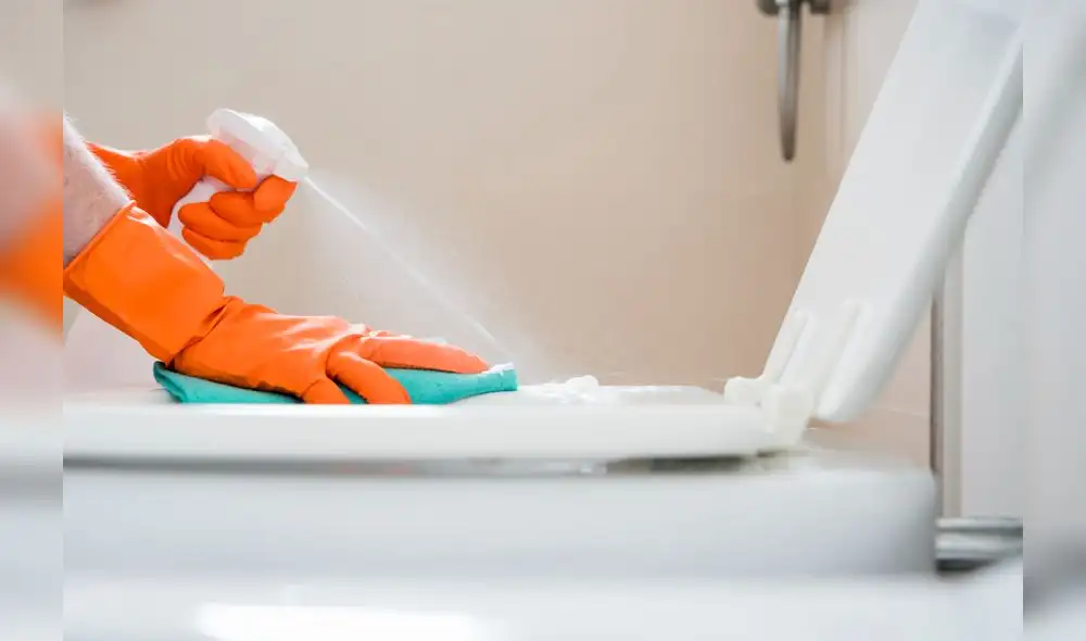 El vinagre blanco se ha posicionado como un destacado aliado en la limpieza del hogar, gracias a su capacidad para eliminar olores y manchas. El vinagre blanco se ha posicionado como un destacado aliado en la limpieza del hogar, gracias a su capacidad para eliminar olores y manchas.