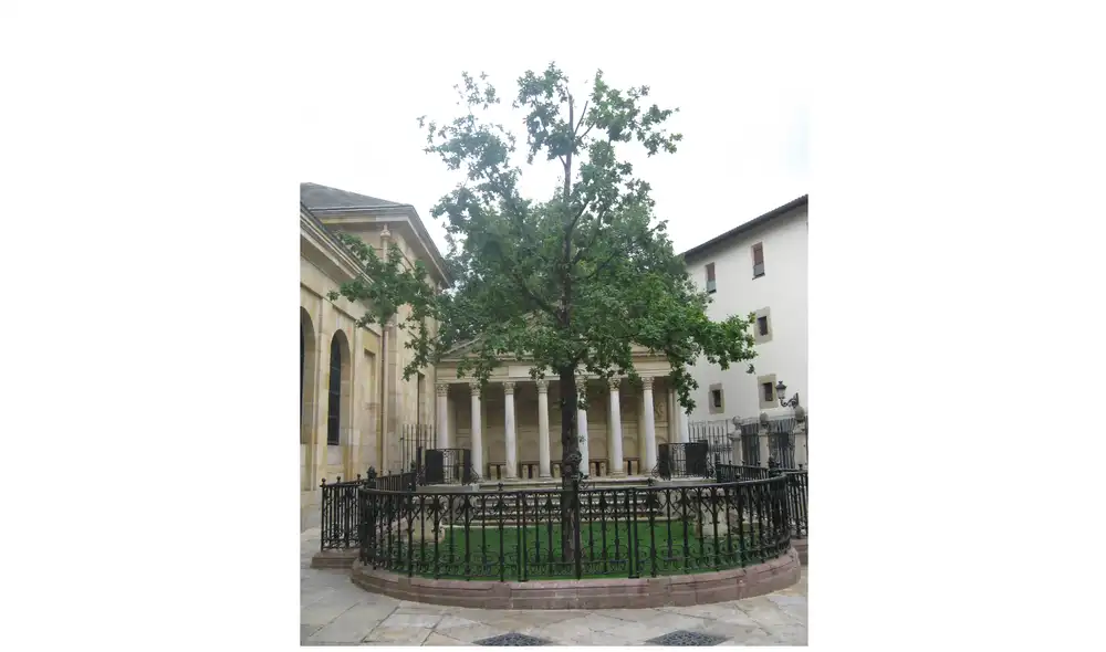El árbol de Guernica. 2012. Fuente: Wikipedia. El árbol de Guernica. 2012. Fuente: Wikipedia.