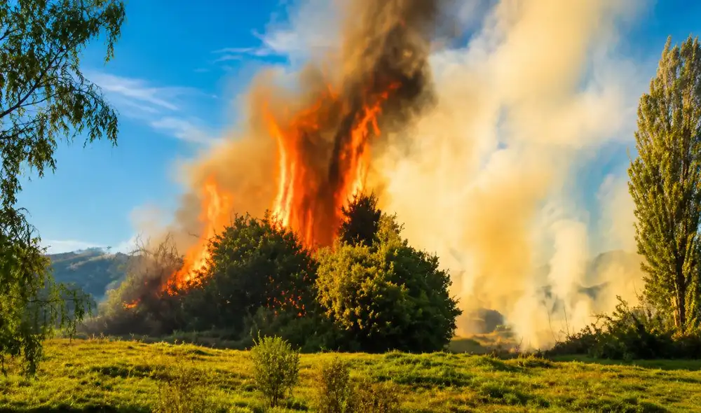 La temporada de incendios forestales se intensifica en Perú, con emergencias activas en Arequipa y alerta máxima en Cusco, según autoridades regionales. La temporada de incendios forestales se intensifica en Perú, con emergencias activas en Arequipa y alerta máxima en Cusco, según autoridades regionales.