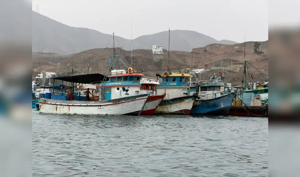 Embarcaciones artesanales en Pucusana, en el litoral sur de Lima. Sus pescadores denuncian competencia desigual frente a embarcaciones industriales de mayor escala que operan cerca del límite de las 200 millas marinas.