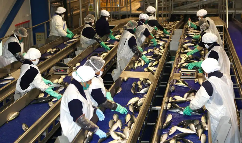 Un escenario de Fenómeno El Niño fuerte podría generar pérdidas de hasta S/350 millones diarios para la manufactura, de acuerdo con un análisis del IDIS.